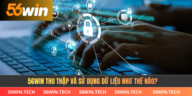 56WIN thu thập và sử dụng dữ liệu như thế nào?