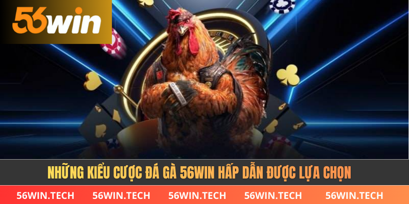 Lý do nên đặt cược đá gà 56WIN