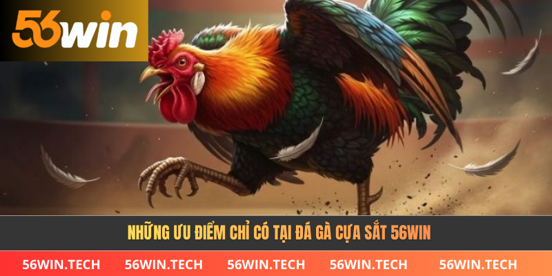 Những ưu điểm chỉ có tại đá gà cựa sắt 56Win