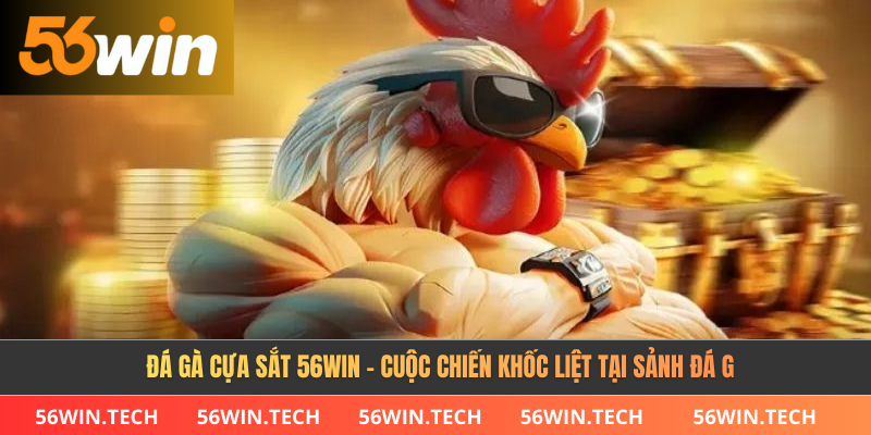 Đá Gà Cựa Sắt 56Win - Cuộc Chiến Khốc Liệt Tại Sảnh Đá Gà