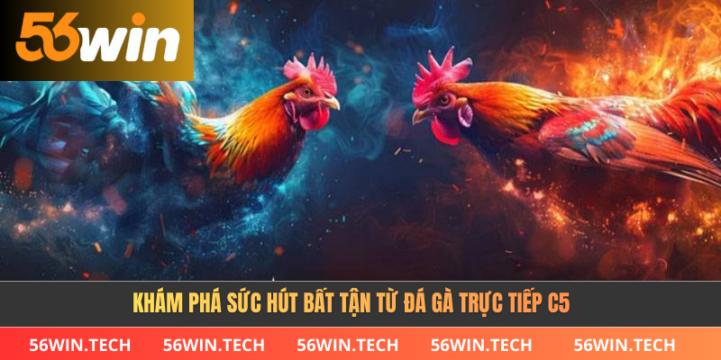 Khám phá sức hút bất tận từ đá gà trực tiếp C5