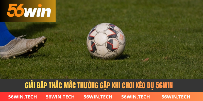 Giải đáp thắc mắc thường gặp khi chơi kèo dụ 56win
